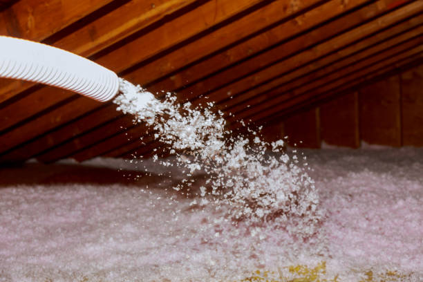 Best Spray Foam Insulation in Frewsburg, NY
