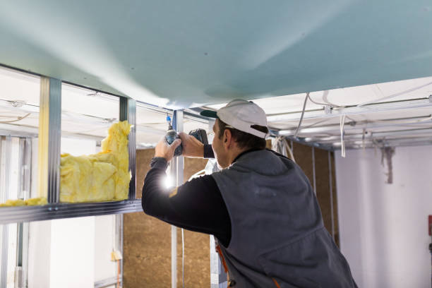 Best Insulation for Specific Applications in Frewsburg, NY
