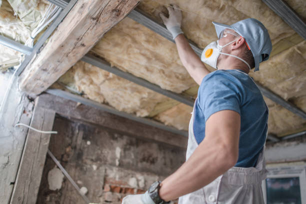 Best Fiberglass Insulation in Frewsburg, NY